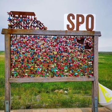 A large wooden board covered with colorful locks in a green outdoor setting.