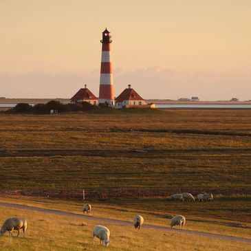 Sheep grazing near a striped lighthouse at sunset in a vast open landscape.
