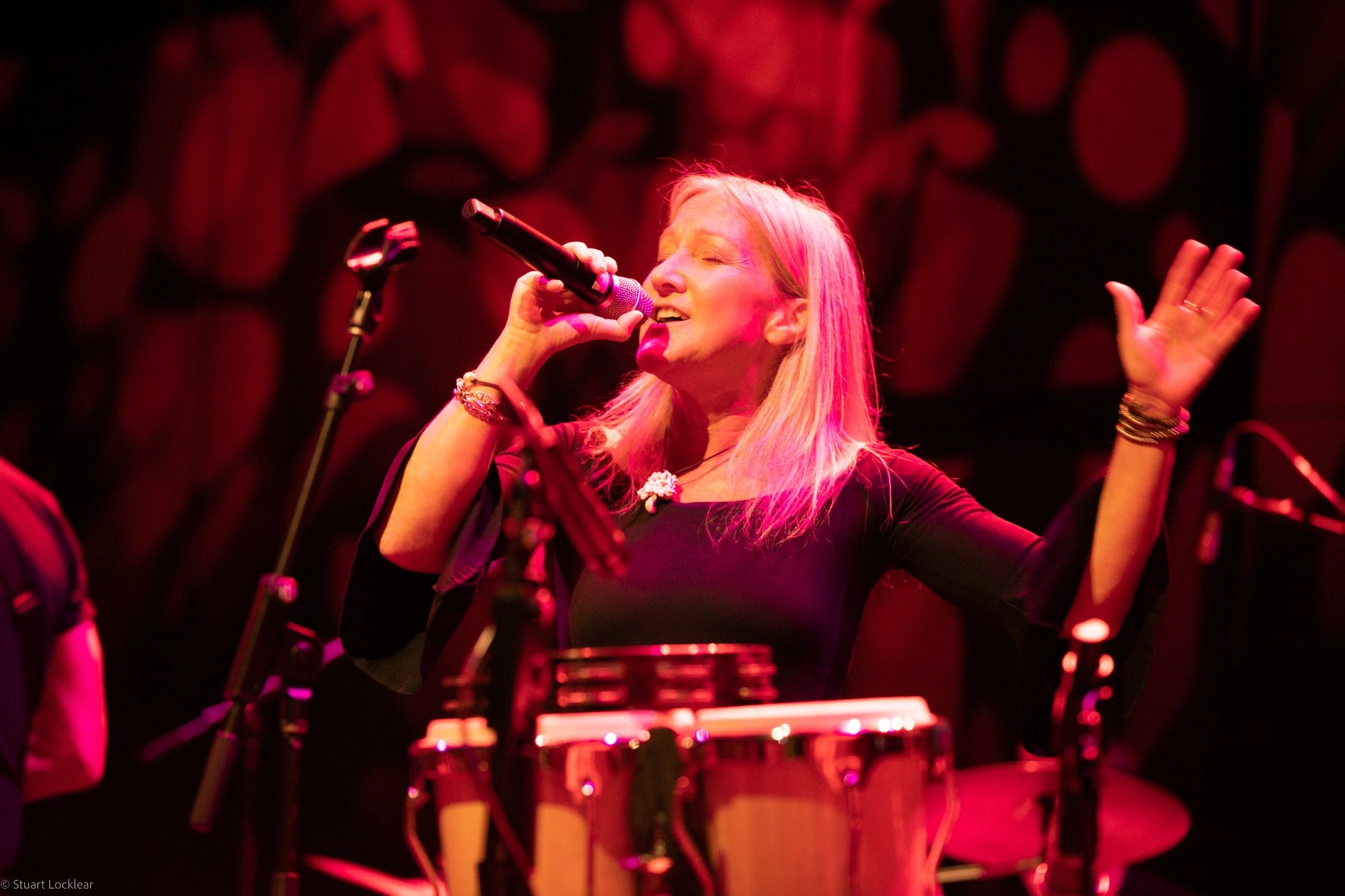 Heidi Farmer & Friends