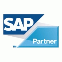 Vortex ERP consulting