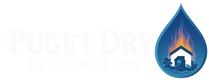 PUGET DRY RESTAURATION