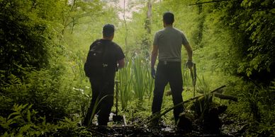 Two people exploring a dense forest.