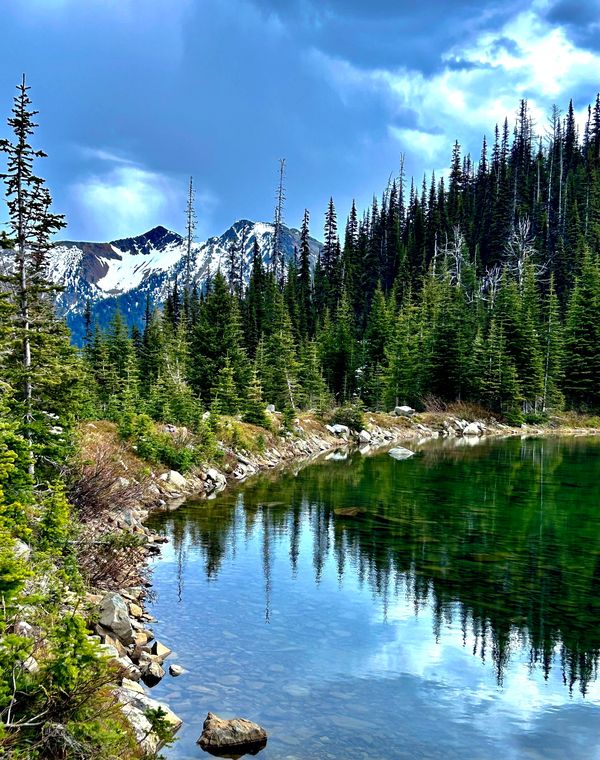 Serene mountain lake surrounded by pine trees and snow-capped peaks. The pines reflect in the water