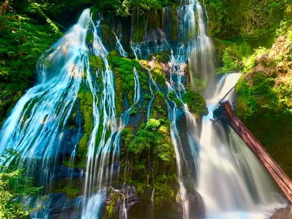 A lush waterfall cascades over mossy rocks in a vibrant forest.