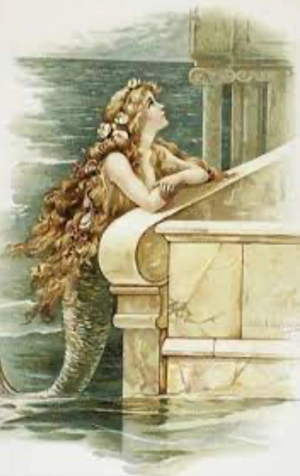 Den lille havfrue Ariel Havfrue Badetøy Bikini Badedrakter Aktiv Søt Film-Cosplay  for Jente Barne 2025 - GBP £27, image size:1011x1603