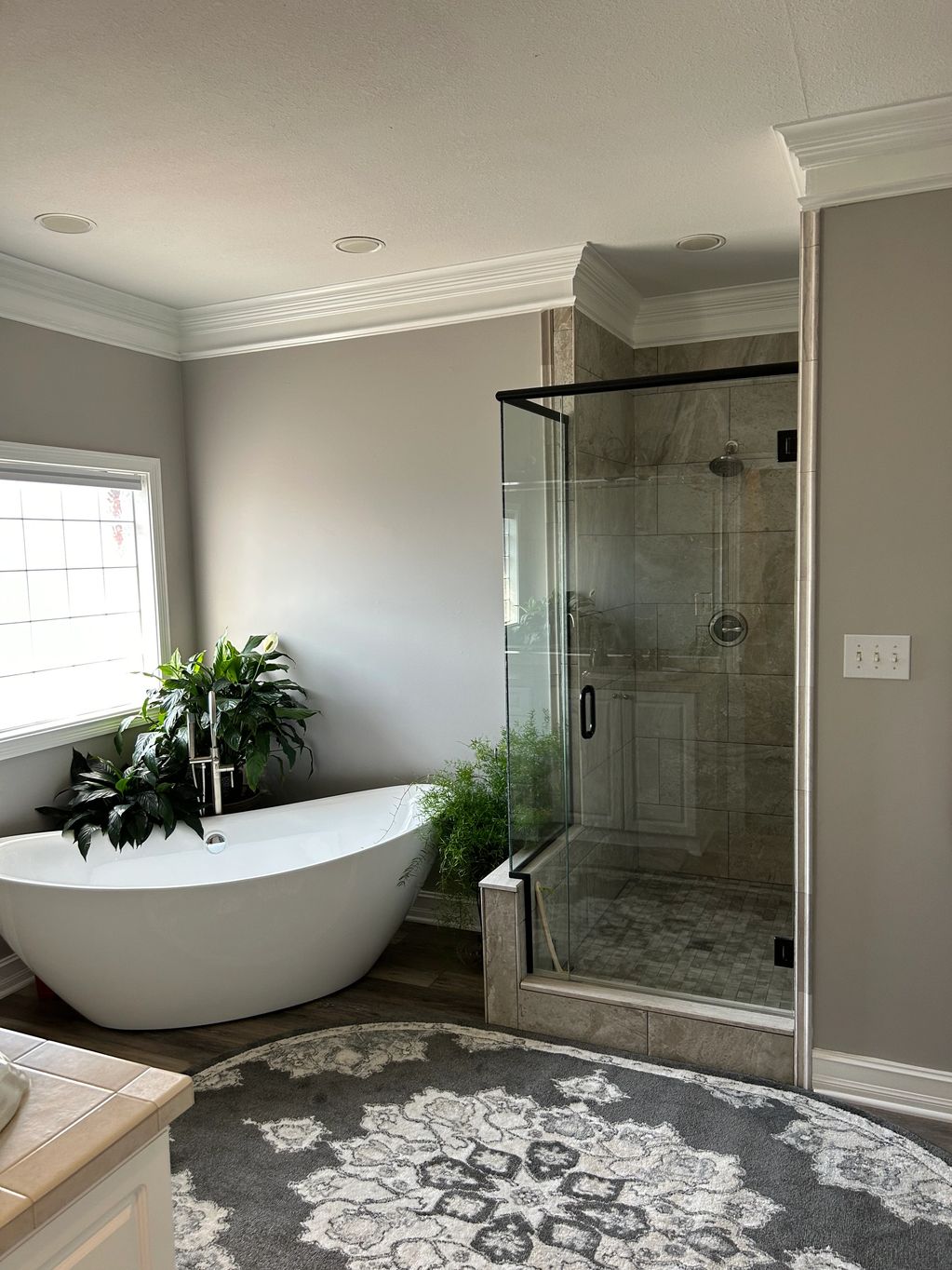 Modern bathroom with tub, shower, and plants.