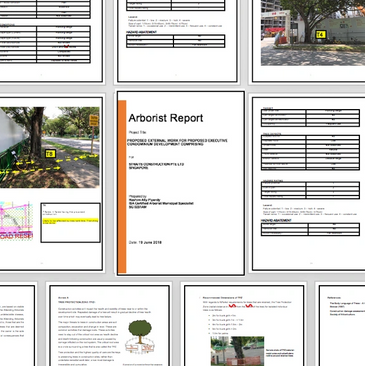 Arborist Services