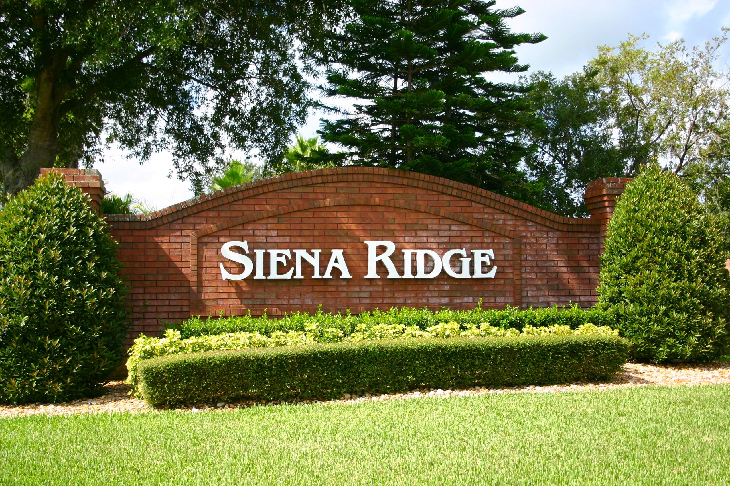 Discover Siena Ridge Community in Clermont, Florida