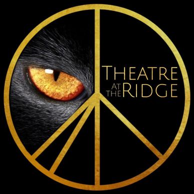 Golden peace symbol with a cat's eye and theatre text.