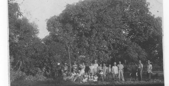 image189