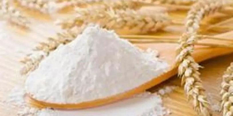 A mound of flour on a wooden spoon surrounded by wheat.