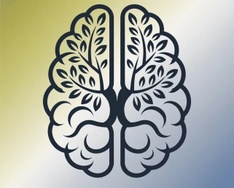 Elite Integrative Psychiatric Services