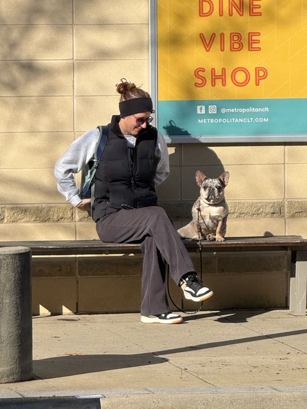 Why Does Every Dog Trainer Say Something Different?
