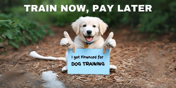 Top dog trainers in the area allow buy now, pay later financing services for pro dog training