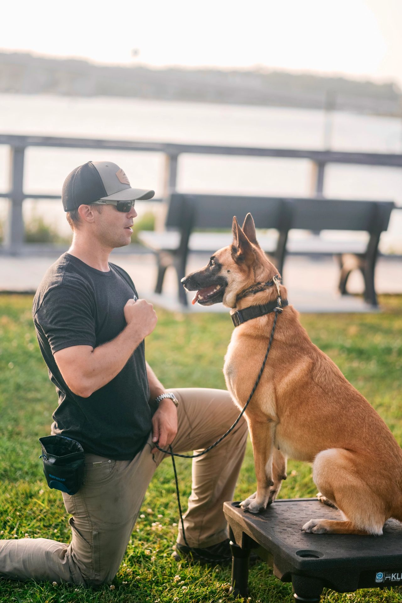How to Build Duration in Sit, Down, and Stay that Actually Works