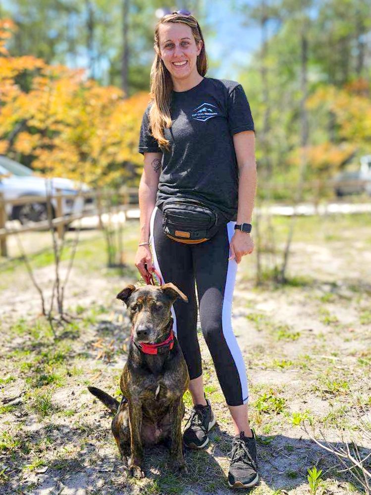 Dog Training Questions Most Owners Ask (And Straight Answers)