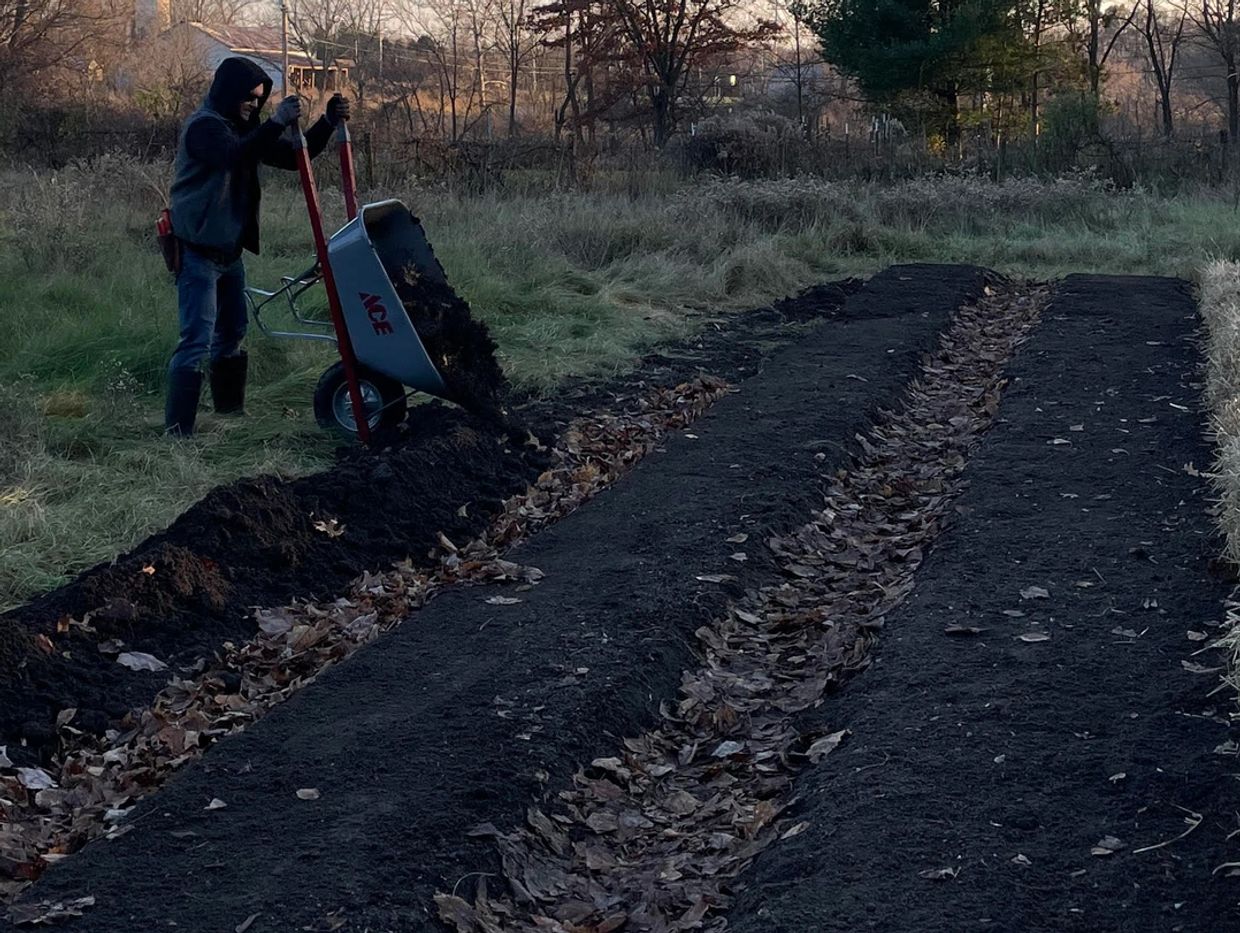 Jut is preparing raised vegetable beds with a compost-topsoil mixture.