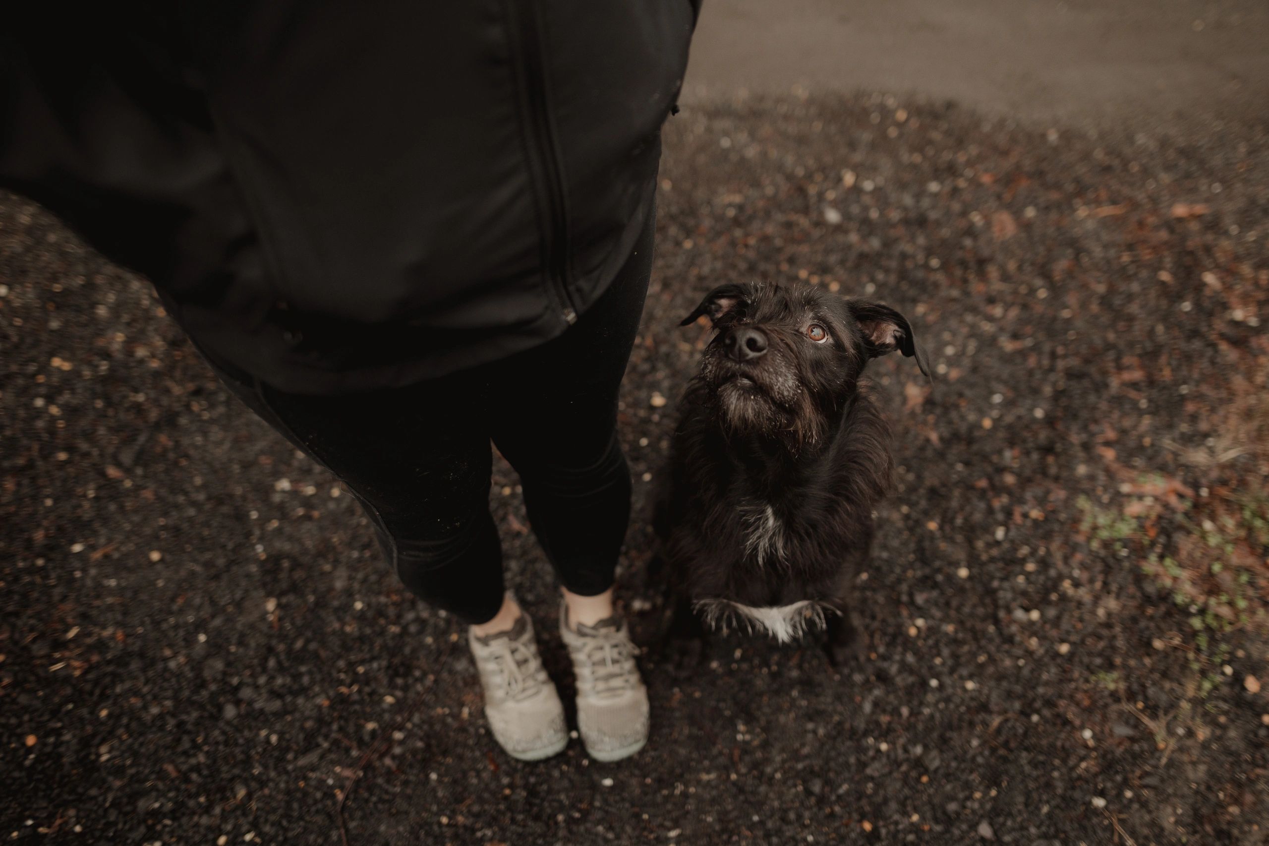 Boarding/Medical Boarding