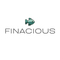 FINACIOUS Visionary Consulting + Solutions