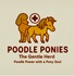 The Poodle Ponies Therapy Foundation & Wellness Services