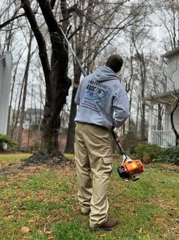Austin Services Tree Trimming