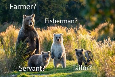 family tree
my ancestry
family history
findmyforebears