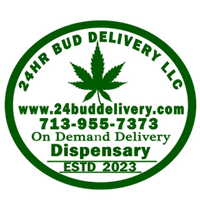 24hrbuddelivery