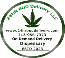 24hrbuddelivery
