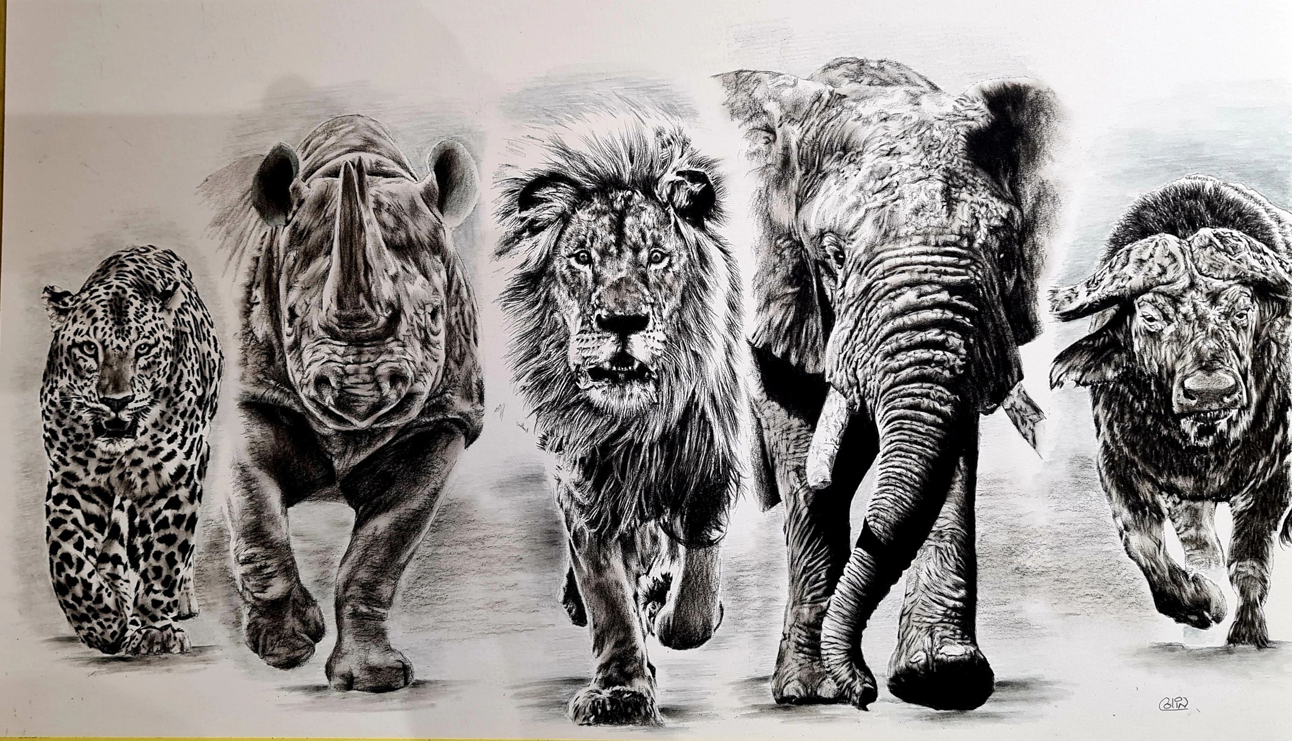 A3 Pencil and Charcoal commission drawing of the big 5.