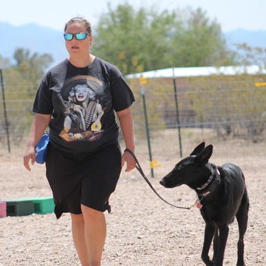 K9 Paws Behavior Dog Training Private Obedience Training
