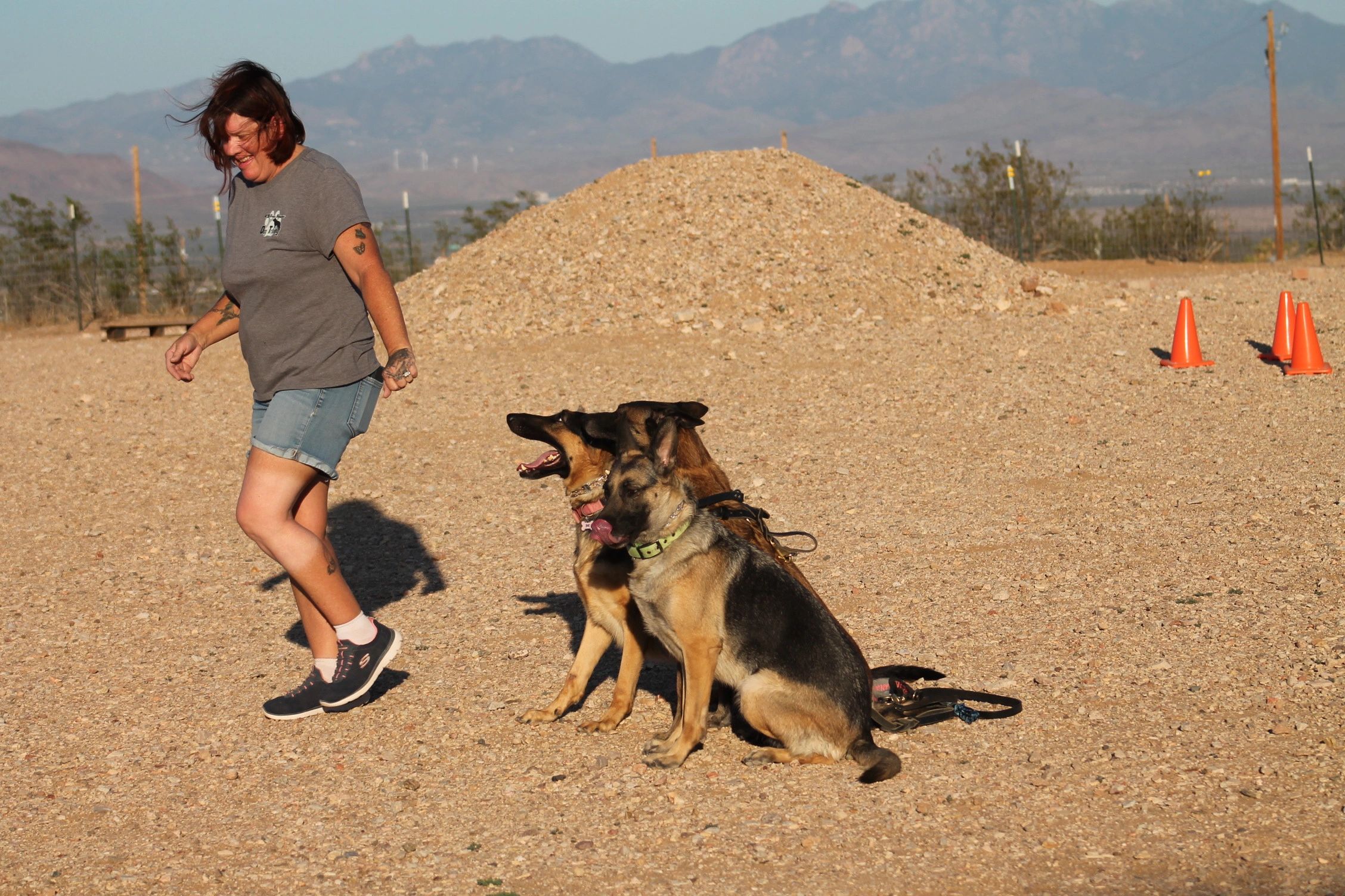 K9 Paws Behavior Dog Training Home