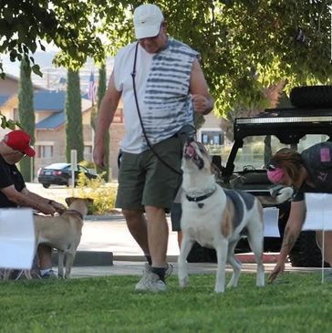 Intro To Rally-O Dog at K9 Paws Behavior Training