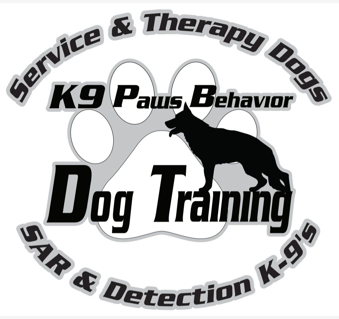 Open Door Command Working K9 Dog Training Rope