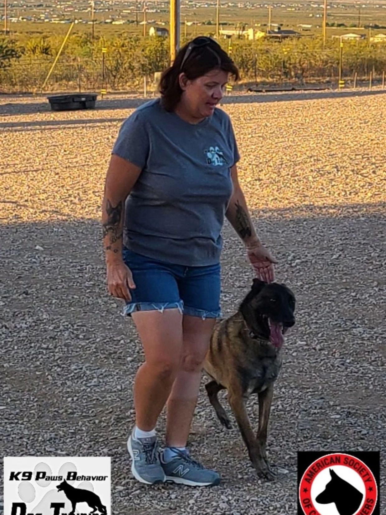 K9 Paws Behavior Dog Training Home