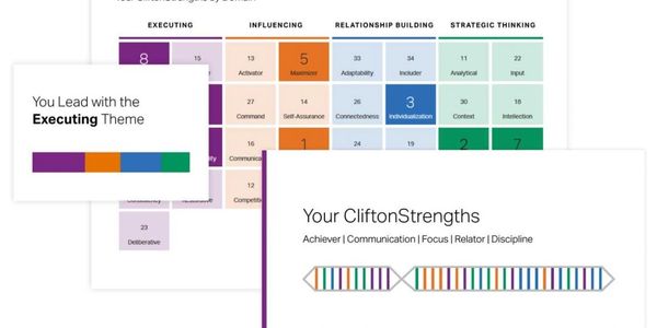 CliftonStrengths report highlighting the Executing theme as the leading strength.