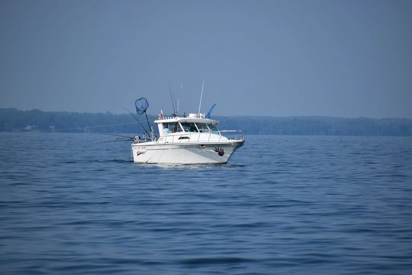 Charter boat