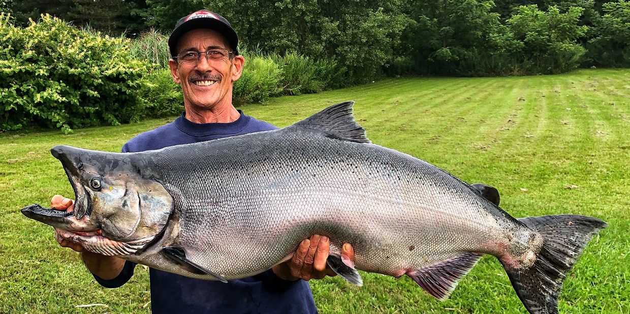 Salmon Caught at Sodus Point , NY