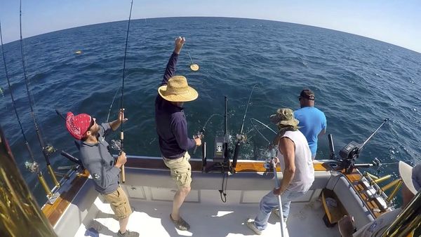 Charter Boat Fishing in Sodus Point NY