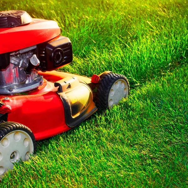 Professional Lawn Care equipment is used to service your lawn.