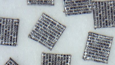 The actual size of the Recoveri Microdot and MicroTag system