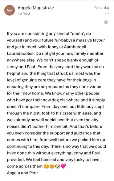 Testimonial praising Jenny and Paul at Aamberdell Labradoodles for their excellent dog care and support.