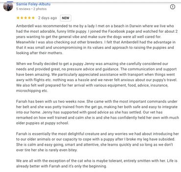 A detailed heartfelt review of a puppy named Jenny and her welcoming experience.
