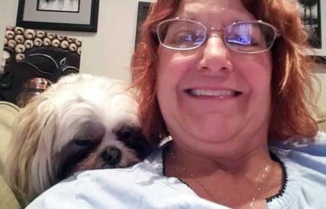 pet sitting euless