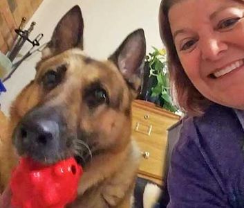 pet sitter irving tx