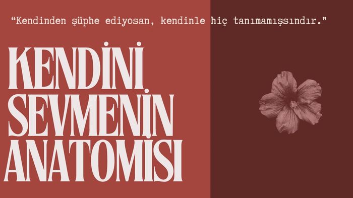 İnsan tasarımı sistemi , sakral otorite , duygusal otorite, enkarnasyon haçı , reflektör