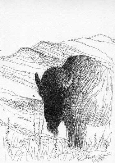 Black and white sketch of a bison in a mountainous landscape.