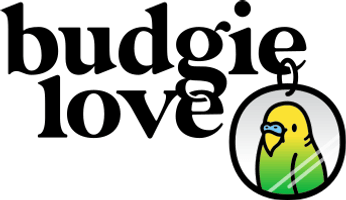 Budgie