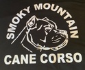                   Smoky Mountain Cane Corso
                   