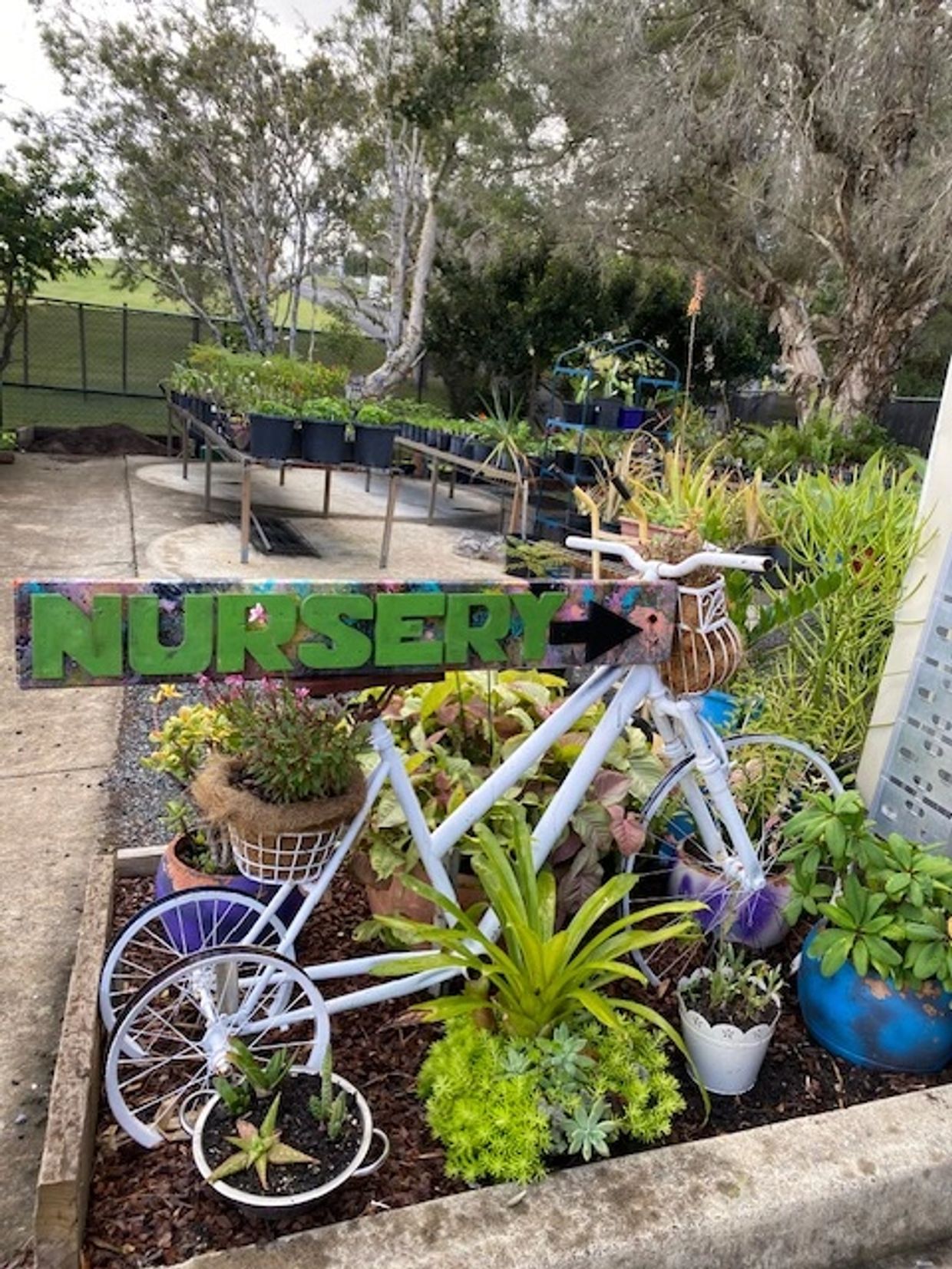 A colorful sign reading 'NURSERY' surrounded by plants and a white bicycle.