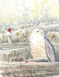 snowy owl christmas theme